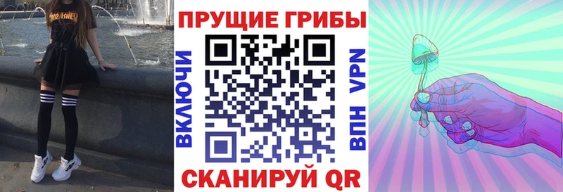 Галлюциногенные грибы Cubensis Унеча