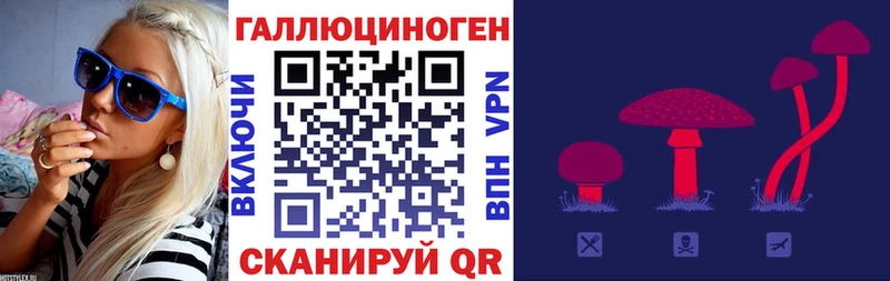 Псилоцибиновые грибы Psilocybe  Унеча 